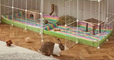 Photo of Rabbit’s toys or anything etc (Derby de23 8ej) #1