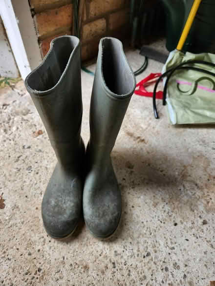 Photo of free Welies (Weymouth Preston) #1