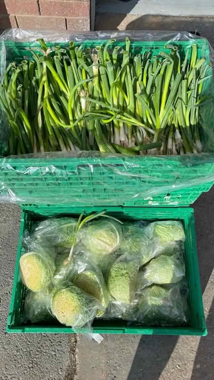 Photo of free spring onions, cabbage and breads (Barbourne WR3) #1