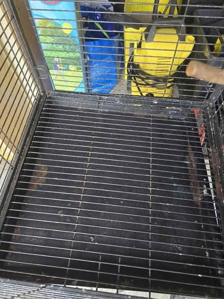Photo of free Birdcage (Southfields SW18) #2