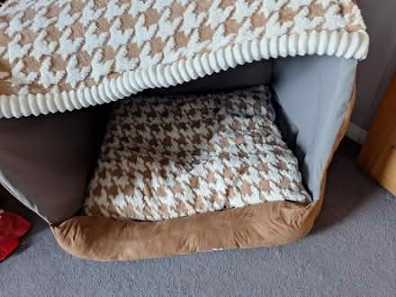 Photo of free Large dog igloo (South Green CM11) #2