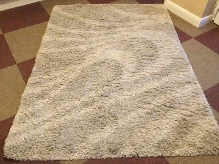 Photo of free Deep pile rug (Tibberton TF10) #1