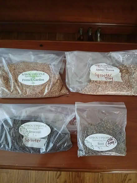Photo of free Seed sprouting kit (Ortega Park, Sunnyvale) #2