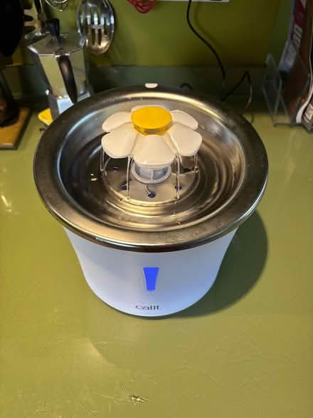 Photo of free Cat drinking fountain (Horsham RH13) #1