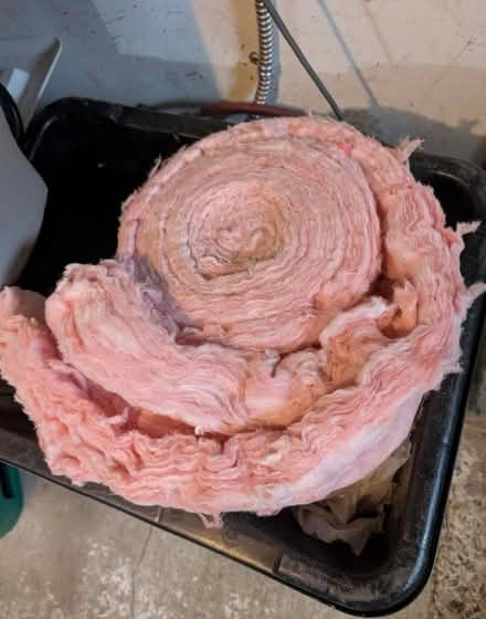 Photo of free pink insulation (Walkley/Riverside) #1