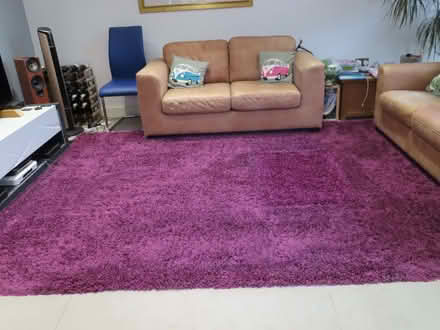 Photo of free Large shaggy purple rug (Thorpe St Andrew NR7) #1