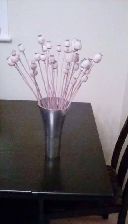 Photo of free Silver vase and dried lilac coloured seed pods (Lower Earley RG6) #1