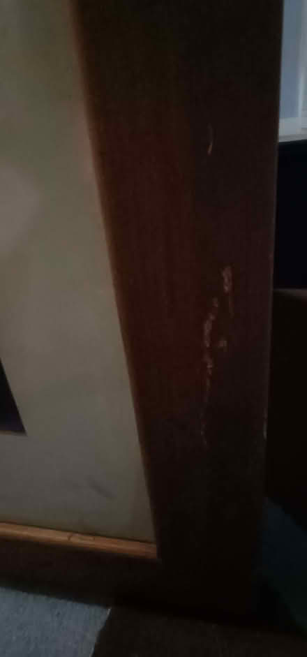 Photo of free Large sunset picture (Stinchcombe GL11) #1