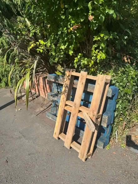 Photo of free Pallets (East Dulwich SE22) #1