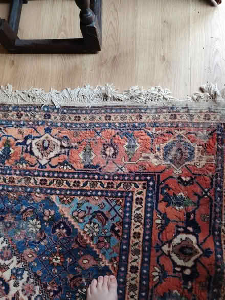 Photo of free Turkish wool rug (Alconbury PE28) #2