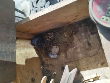 Photo of free Fishing items (Hanworth TW13) #2