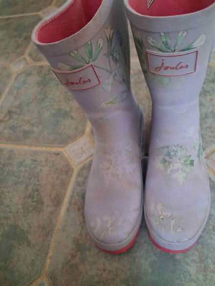 Photo of free Ladies Jules wellies size 6 (KGH area NN16) #1