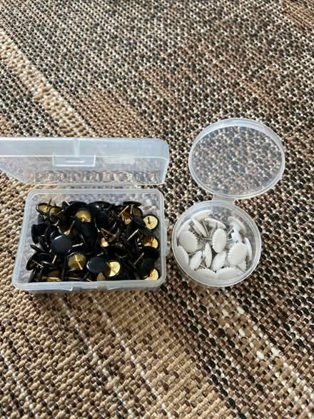 Photo of free Board pins (Barnes) #1