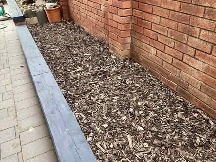 Photo of free Bark chippings (Ashington NE63) #2