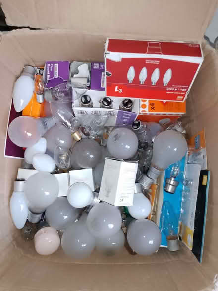 Photo of free 'Incandescent' / GLS light bulbs (Bucknell SY7) #1