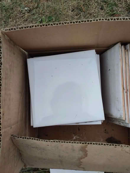 Photo of free white tiles (Leckhampton GL53) #1