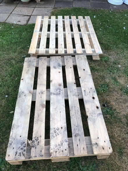 Photo of free 2 pallets (Sedlescombe Street TN33) #1