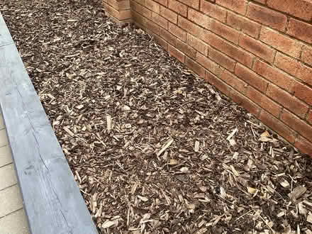 Photo of free Bark chippings (Ashington NE63) #1