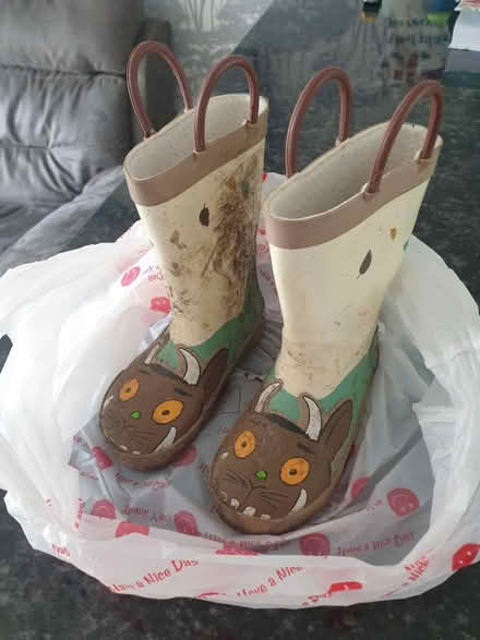 Photo of free Size 7 eu 24 Gruffalo wellies (Tadworth) #1