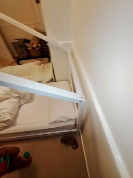 Photo of free Single bed and mattress (Sheffield S14 1FL) #2
