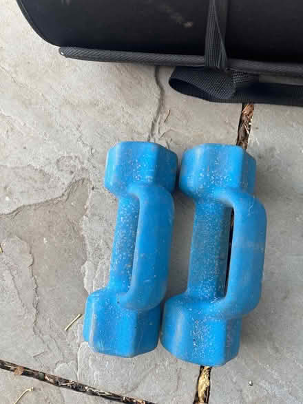 Photo of free Hand weights (Great Baddow CM2) #2