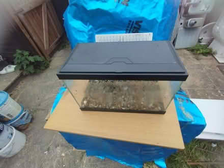 Photo of free Fish tank 40cm x 20cm (WD6) #2
