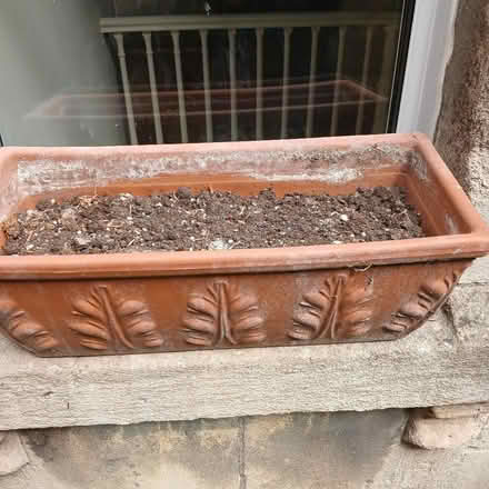 Photo of free Pair of terracotta window boxes. (Bear Flat) #1