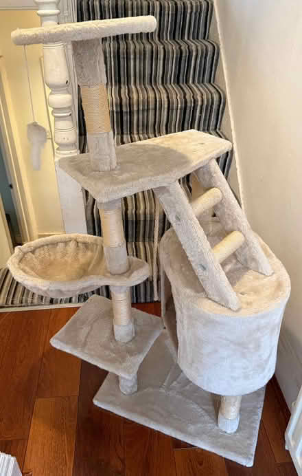 Photo of free Cat Tree (Earlswood, Redhill, RH1) #1
