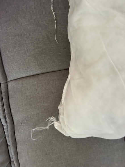 Photo of free Cushion (Norton S8) #3