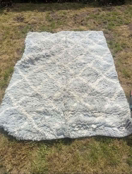 Photo of free Sherpa rug from La redoute (Forest Hill) #1