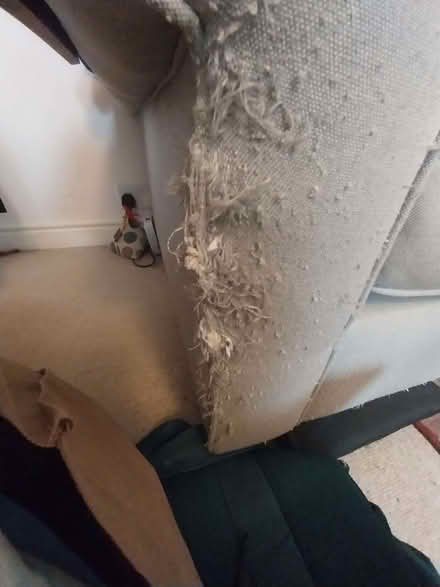 Photo of free Two seater duck egg blue sofa bed - very comfortable (Landport BN7) #3