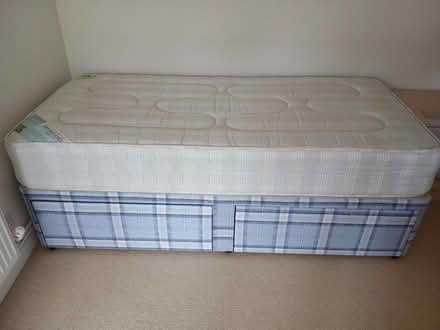 Photo of free Single bed (Ashprington TQ9) #1