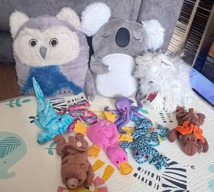 Photo of free Selection retro vintage teddies (Chatham) #1