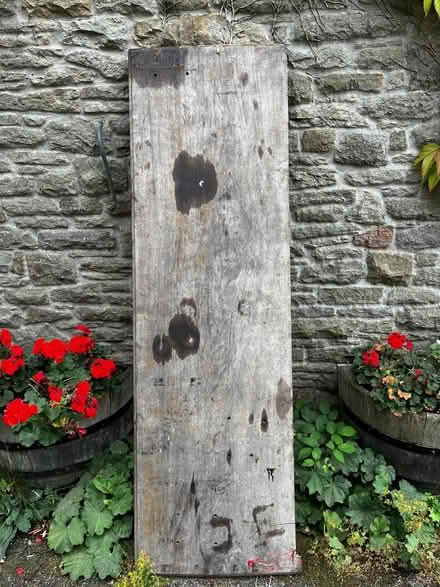 Photo of free Solid mahogany board (Kettleshulme SK23) #2