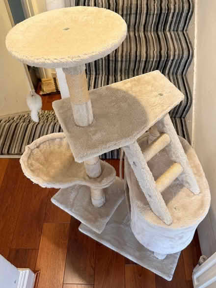 Photo of free Cat Tree (Earlswood, Redhill, RH1) #2