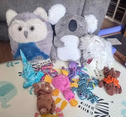 Photo of free Selection retro vintage teddies (Chatham) #2