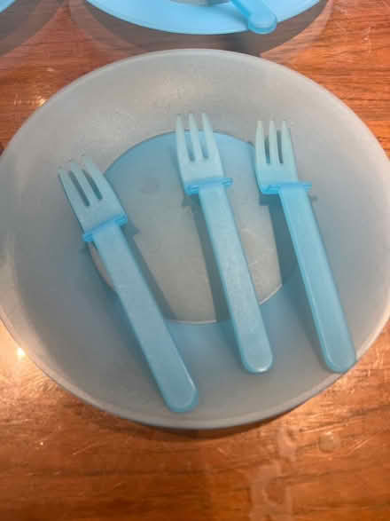 Photo of free Plastic Plates, Cutlery, Flutes, Camping (London Colney AL2) #3