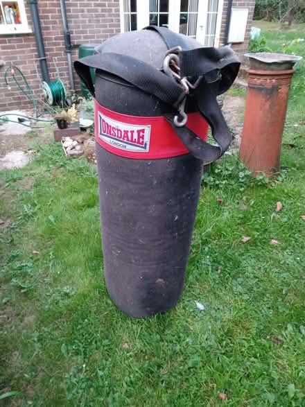 Photo of free Punch Bag and Gloves (Whitemans Green RH17) #1