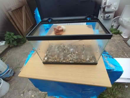 Photo of free Fish tank 40cm x 20cm (WD6) #1