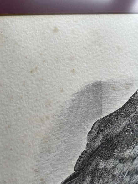 Photo of free Framed barn owls print (Chelmsford CM3) #3