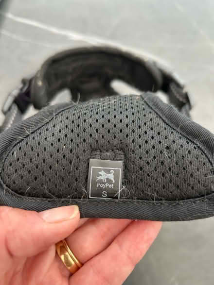 Photo of free Dog harness (Woolton L25) #3