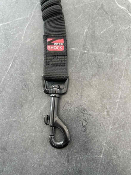 Photo of free Short dog lead (Woolton L25) #3