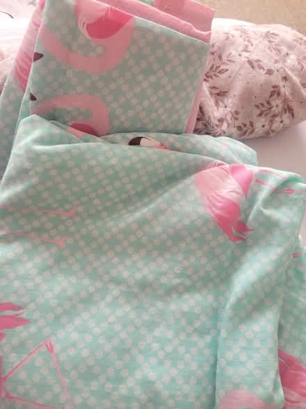 Photo of free Double bedding and mugs (Church RG2) #4