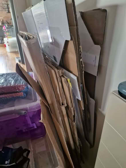 Photo of free cardboard boxes (various sizes) & packaging paper (Standon SG11) #4