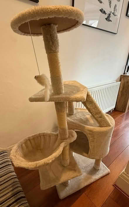 Photo of free Cat Tree (Earlswood, Redhill, RH1) #3