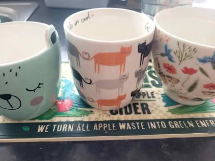 Photo of free Double bedding and mugs (Church RG2) #3