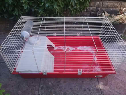 Photo of free Indoor guinea pig/rabbit cage (Bussage GL6) #1
