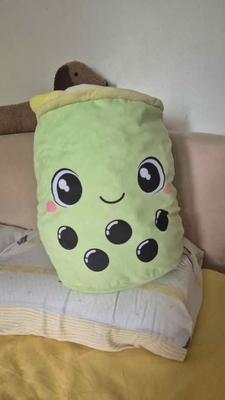 Photo of free Boba cuddly cushion (Bellingham SE6) #1