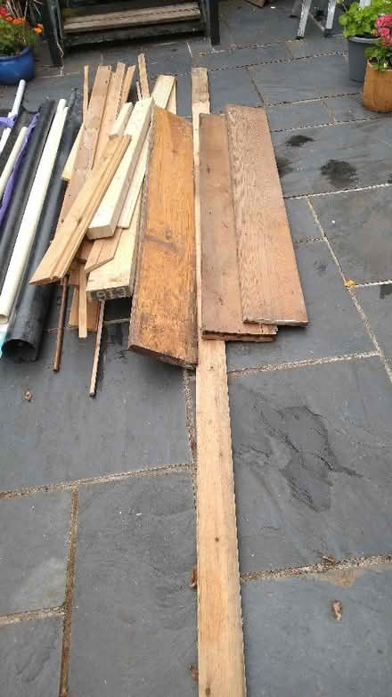 Photo of free Pieces of wood (Clifton BS8) #2