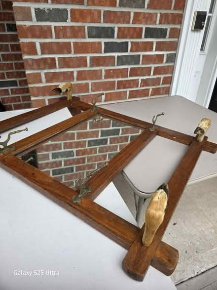 Photo of free Unique mirror and steer head (Belle mead nj off route 206) #1